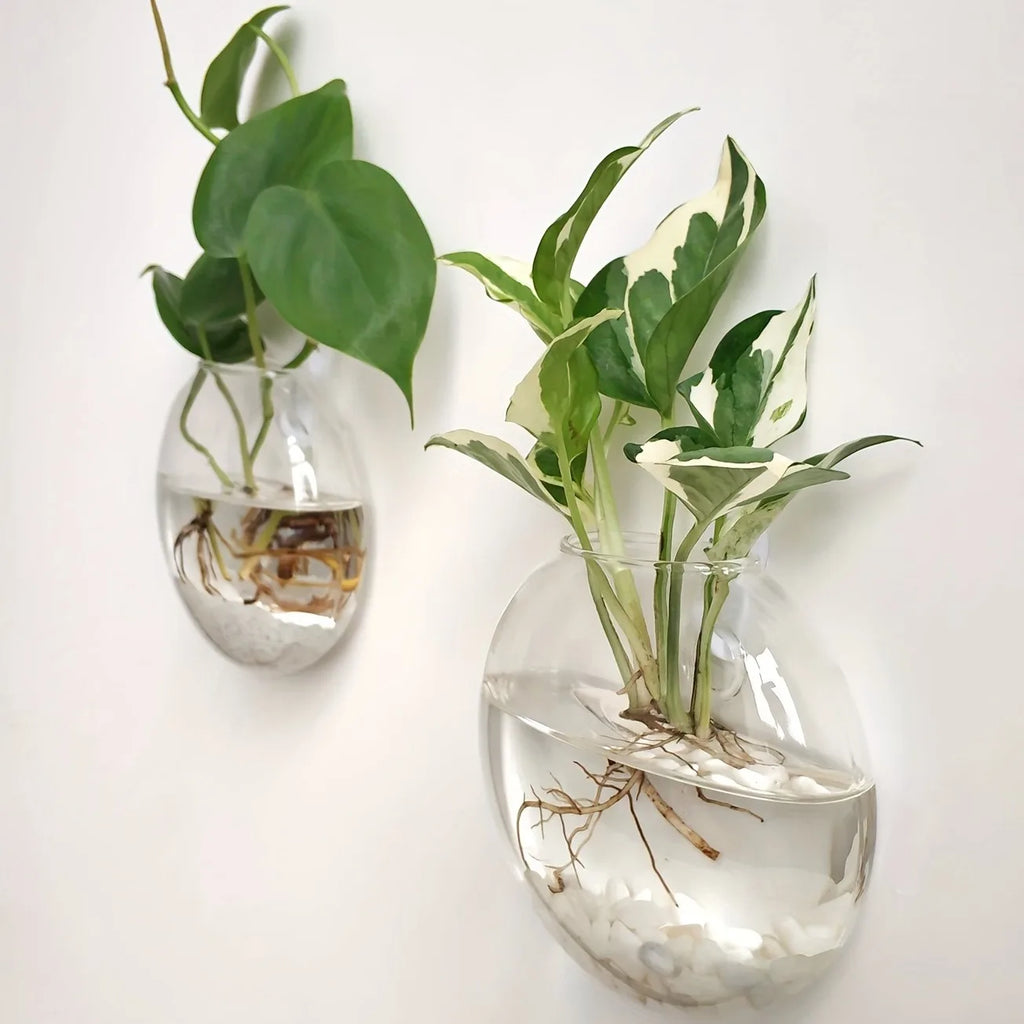 HANGING GLASS TERRARIUM SET