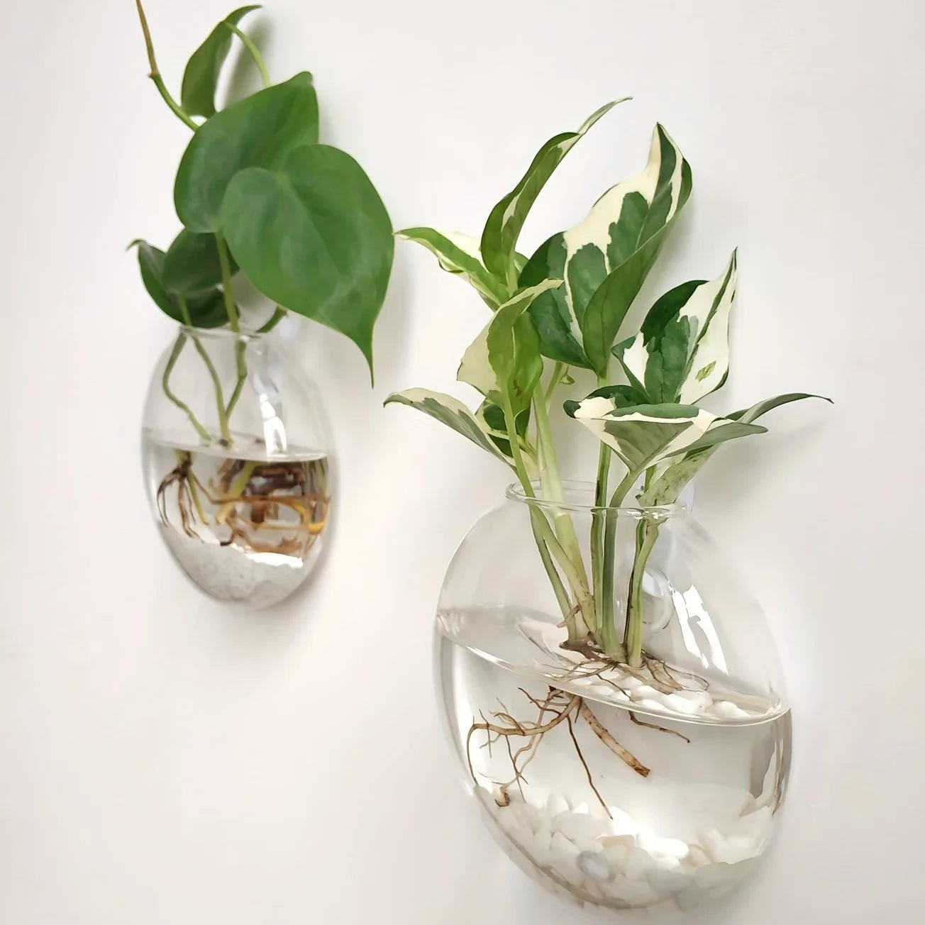 HANGING GLASS TERRARIUM SET