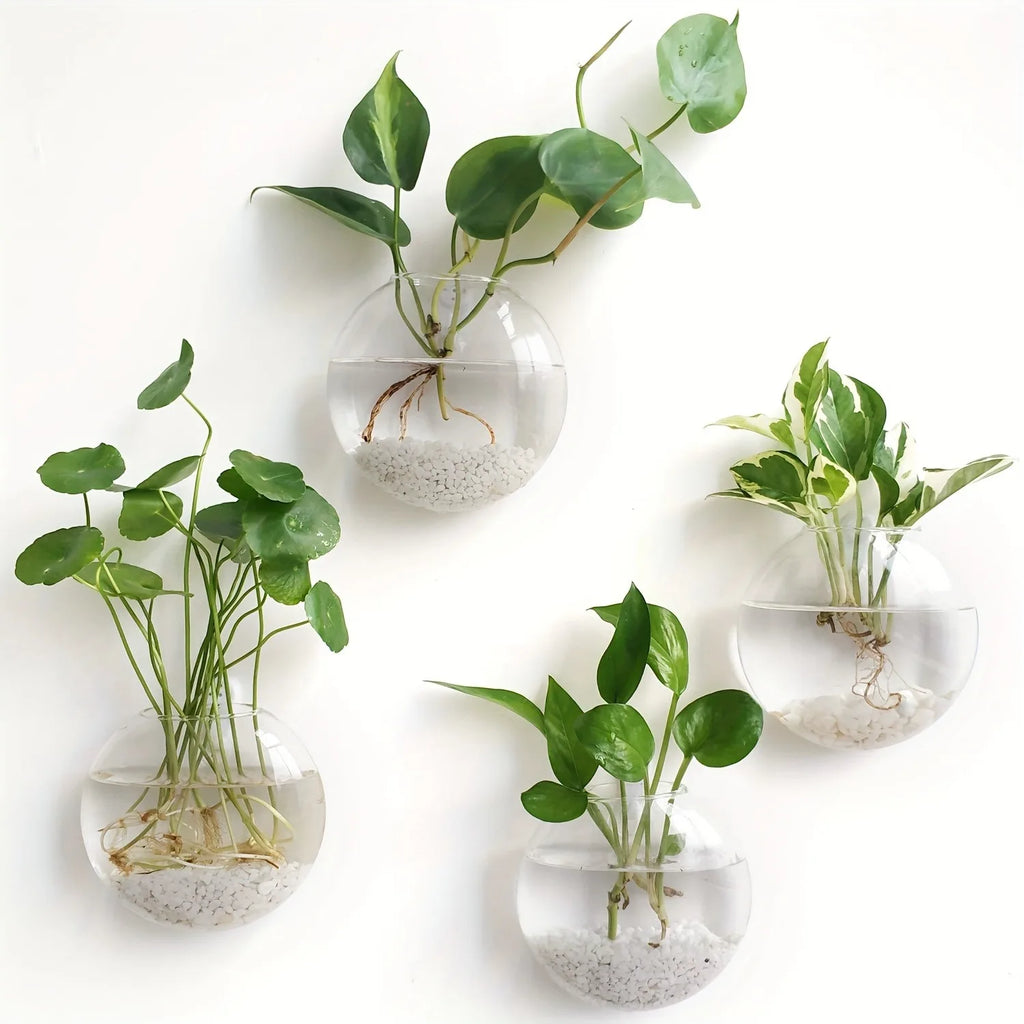 HANGING GLASS TERRARIUM SET