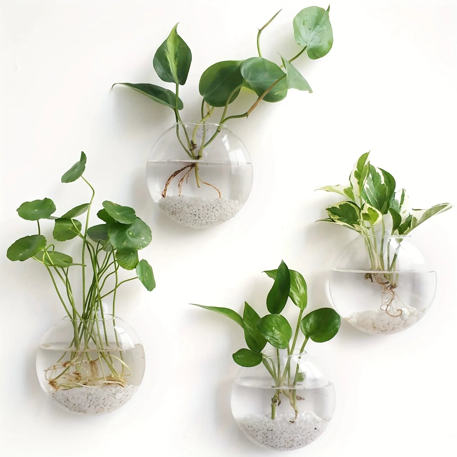 HANGING GLASS TERRARIUM SET
