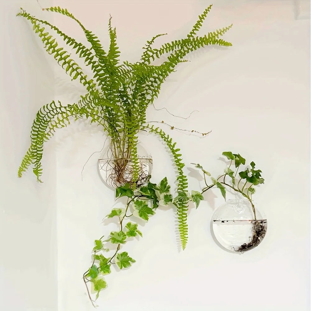 HANGING GLASS TERRARIUM SET