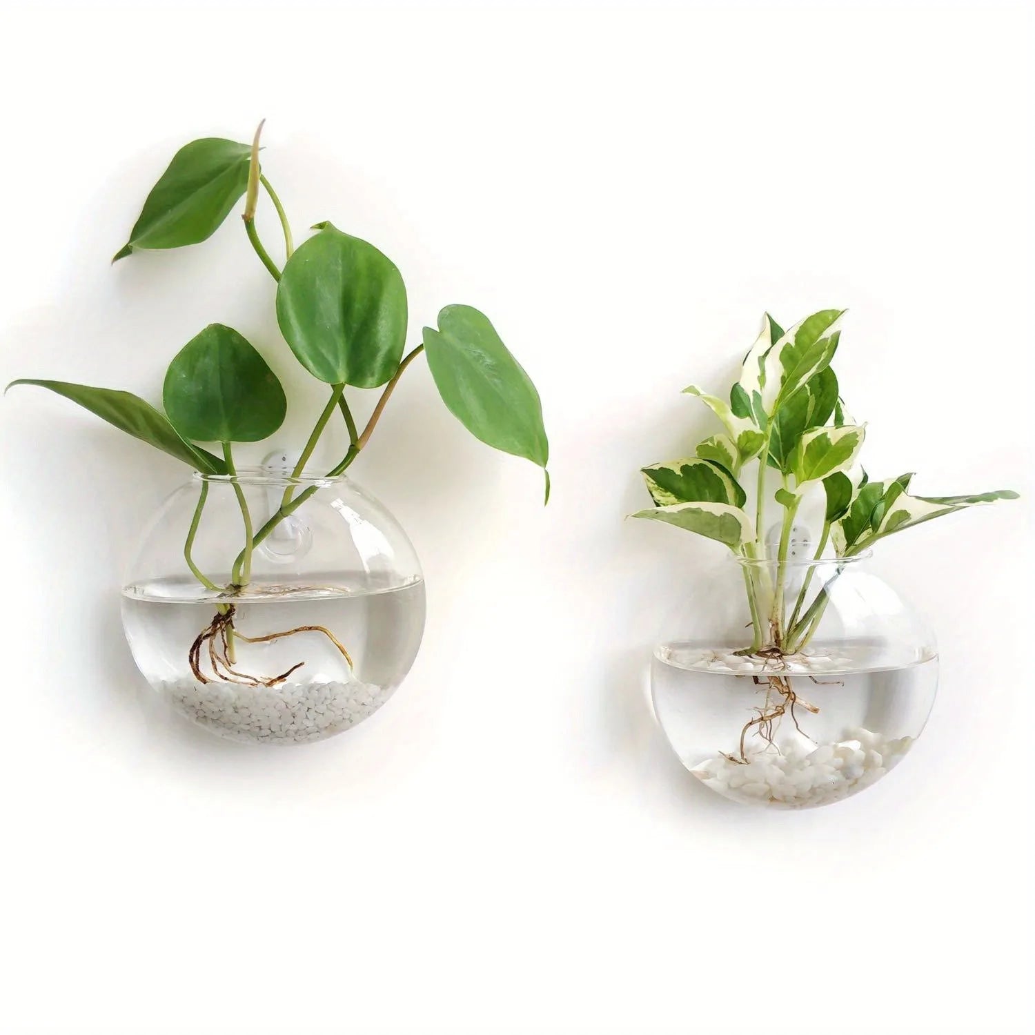 HANGING GLASS TERRARIUM SET
